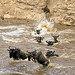 B Moyer Photo 8