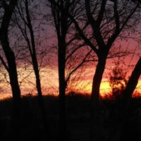 Nancy Grabowski Photo 24