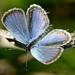 Lee Fleming Photo 42
