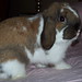 Emmett Foster Photo 19