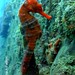 Angela Diver Photo 14