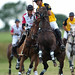 Mark Gilmore Photo 26