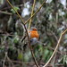 Robin Barnes Photo 30