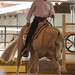 Murray Griggs Photo 9