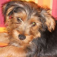 Mary Fabrizio Photo 6