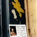 Gary Perdue Photo 17