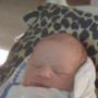 Michele Stanley Photo 34