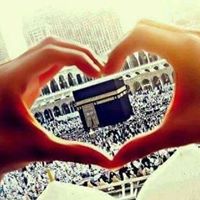 Mahmoud Youssef Photo 38