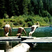 Nancy Trout Photo 4