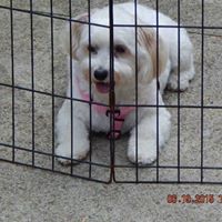 Donna Conn Photo 29