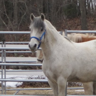 Donna Kirkpatrick Photo 32