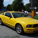 Scott Carleton Photo 19