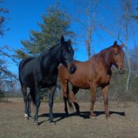 Don Loftis Photo 12