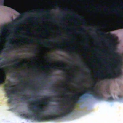 Mariza Diaz Photo 18