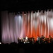Florence Cohen Photo 9