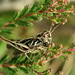 Heather Hopper Photo 16