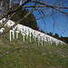 Eddie Chen Photo 12