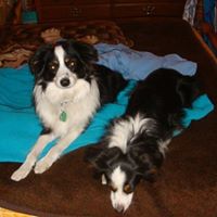 Diana Wilson Photo 5