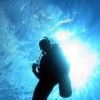 Mark Diver Photo 6