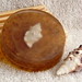 Debbie Shell Photo 16