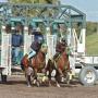 Greg Rodriguez Photo 34