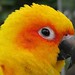 Russell Winters Photo 23