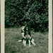 Louise Williams Photo 21