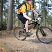 Forrest Rodgers Photo 7