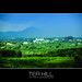 Loc Tang Photo 14