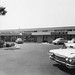 Ann Darling Photo 28