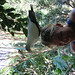 Sarah Bushman Photo 21