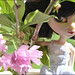 Rowena Rose Photo 11