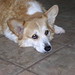 Josie Cooper Photo 13