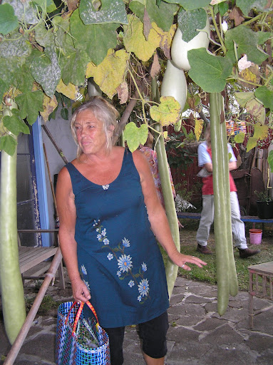 Cheryl Noble Photo 25