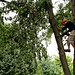 Trent Limb Photo 9