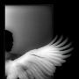 Kelly Richey Photo 38