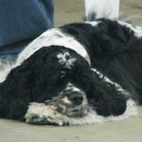 Nancy Easterling Photo 13