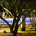 Joel Rhoades Photo 13