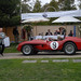 David Colberg Photo 6