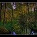 Jan Wald Photo 10