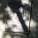John Stanford Photo 26