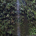 Fern Davidson Photo 14