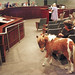 Laurie Weber Photo 17