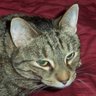 Kimberly Hinrichs Photo 15
