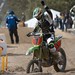 Rodger Morrison Photo 6