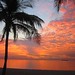 Bob Lauderdale Photo 8