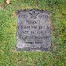 Fred Peck Photo 10