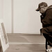 Troy Jackson Photo 13