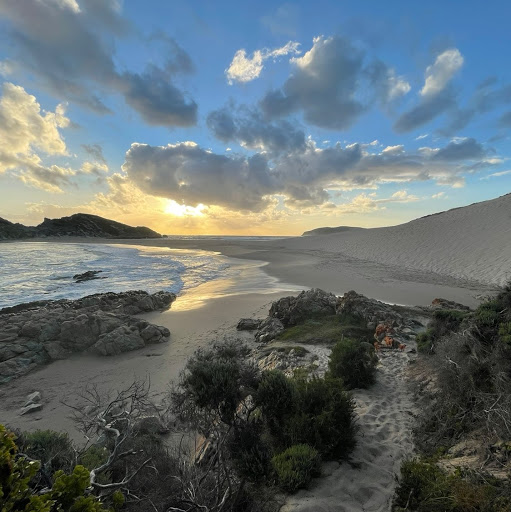 Bruce Nicholson Photo 19