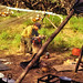 John Massey Photo 8